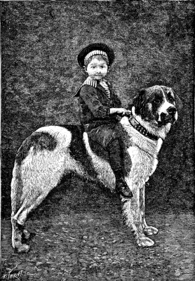 Boy on Dog