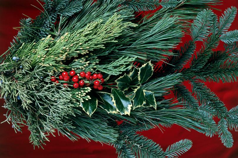 Holiday Decorations