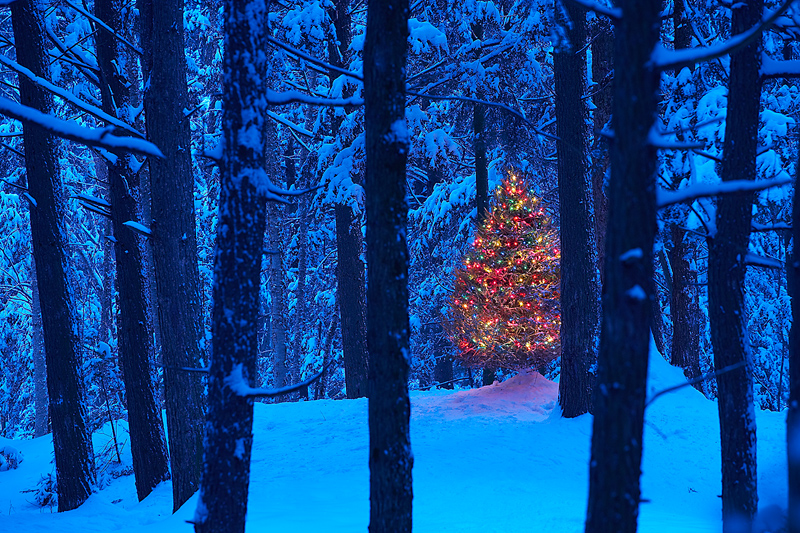 Happy Holidays