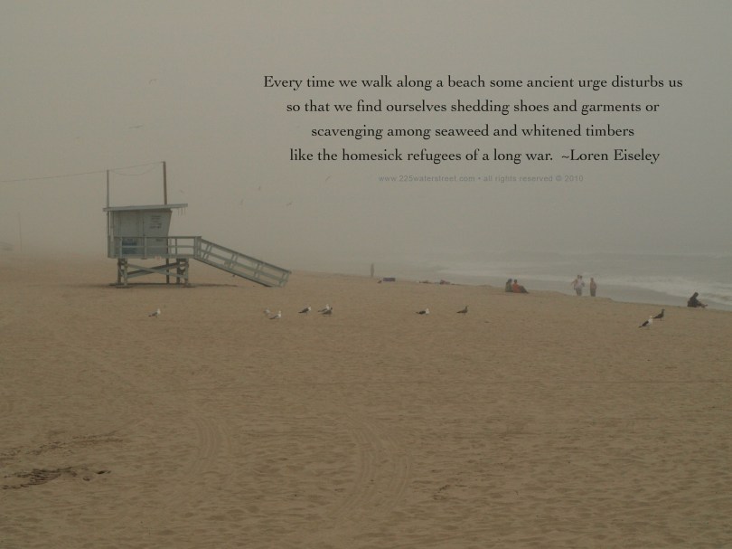 ocean beach