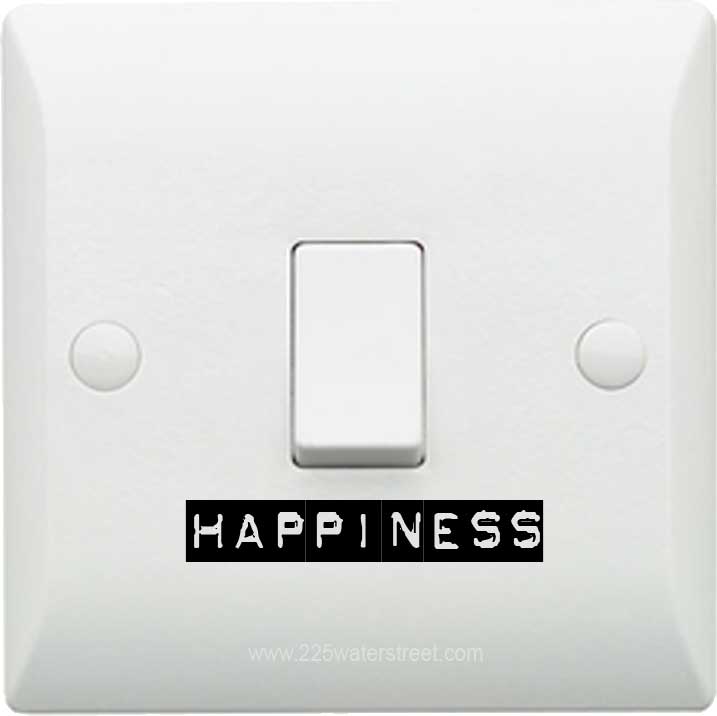 happiness project