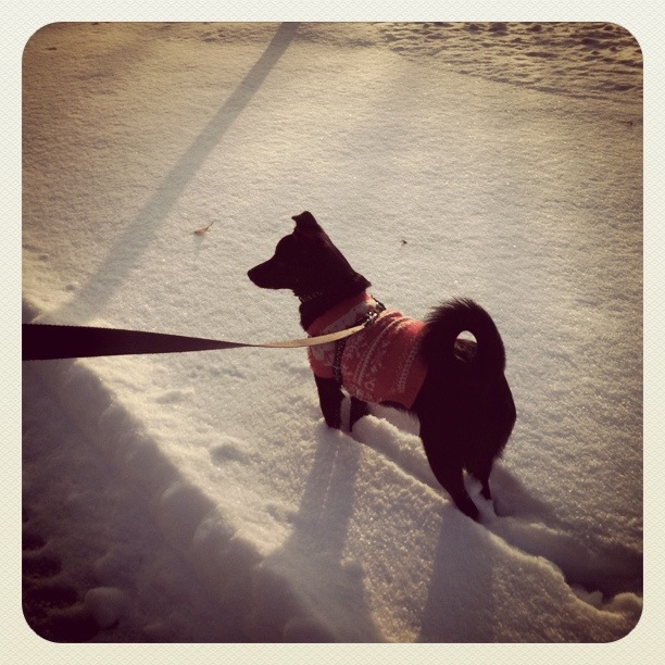 Winter