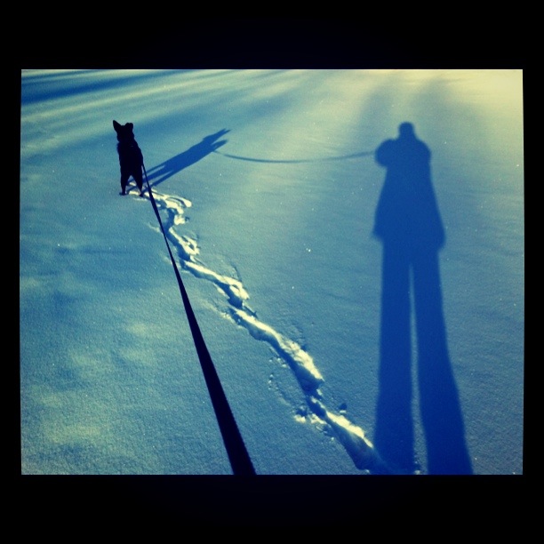 Minnesota Winter