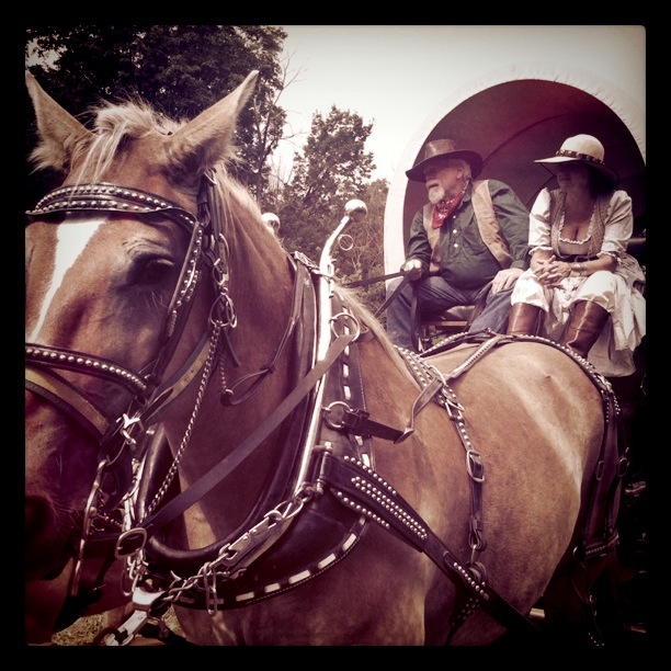 Old West Society