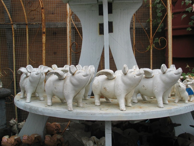 when pigs fly - mara lee