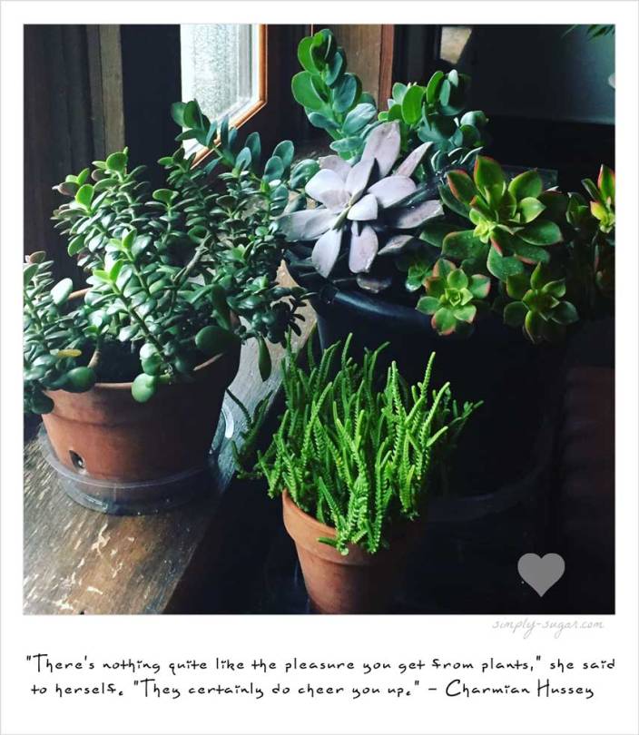 sedum-quote-mara lee