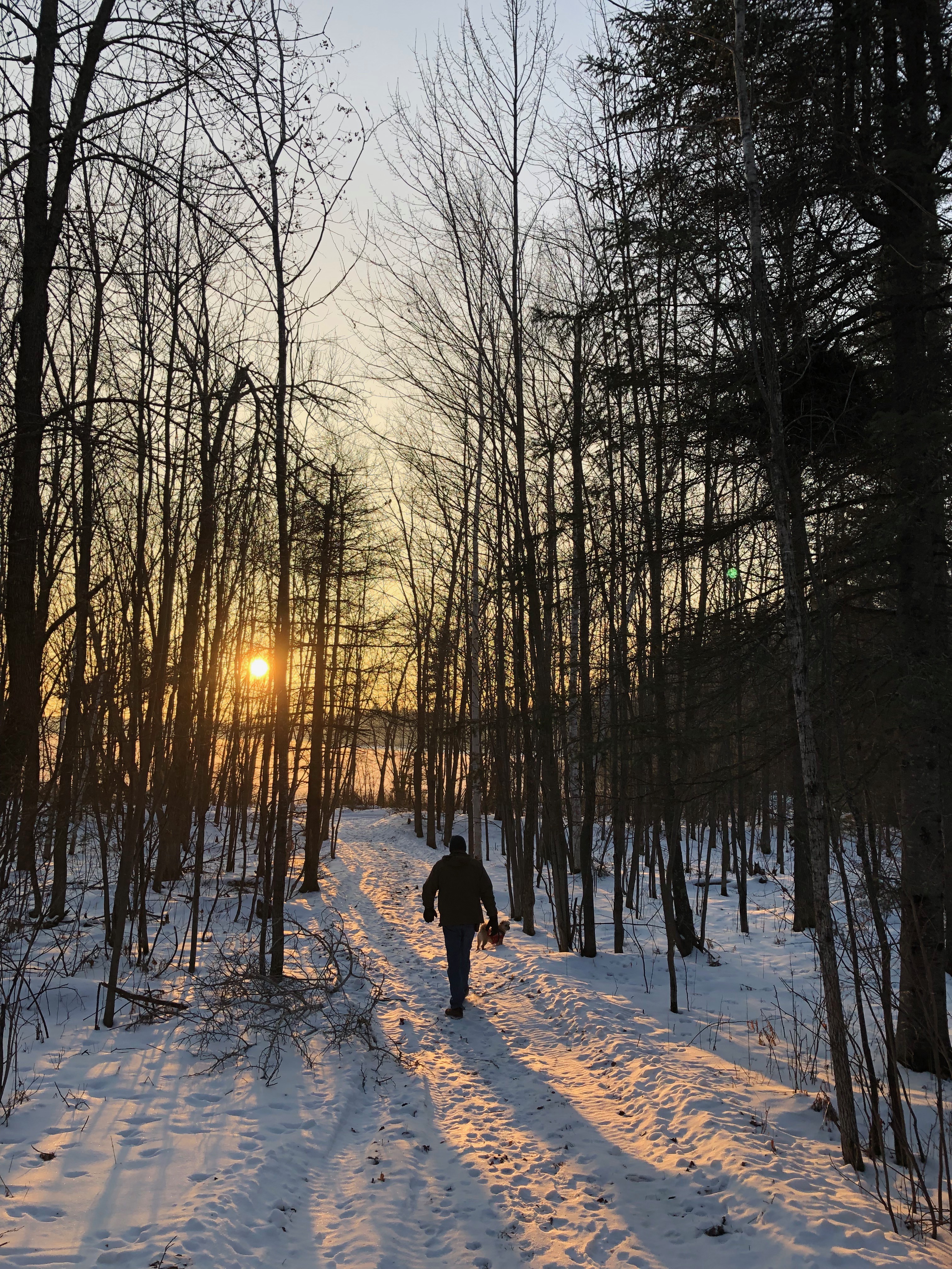 “It is good to collect things, but it is better to go on walks.”  Anatole France 