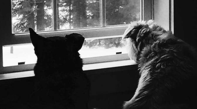 Top 10 Winter Revelations